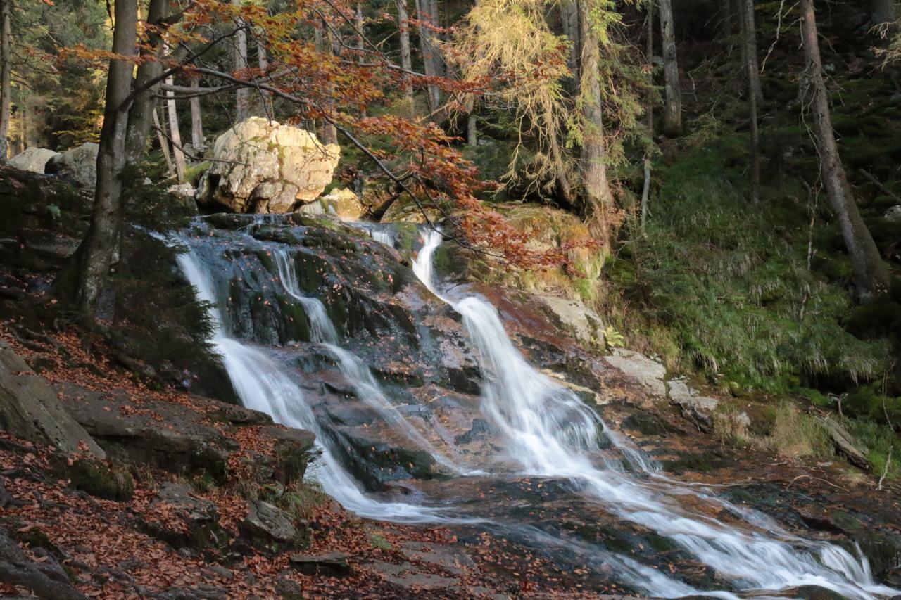 Haus Vierjahreszeiten Bodenmais Bagian luar foto