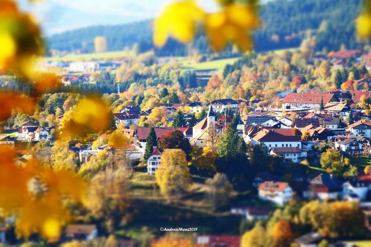 Haus Vierjahreszeiten Bodenmais Bagian luar foto